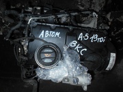 Двигатель для Skoda Octavia A5, 1.9tdi, BKC