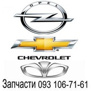 Кузов оптика Opel,  Daewoo,  Chevrolet, купить запчасти Киев, Украина.