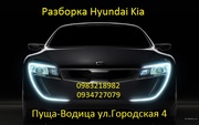 Разборка Hyundai Kia 0983218982 Киев